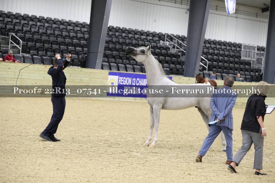 Proof 22R13_07541