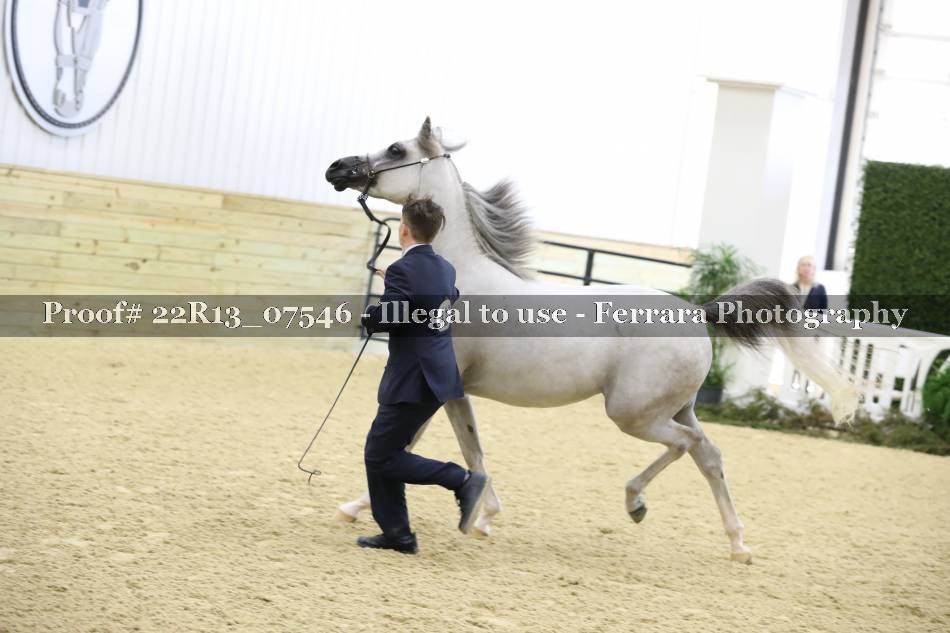 Proof 22R13_07546