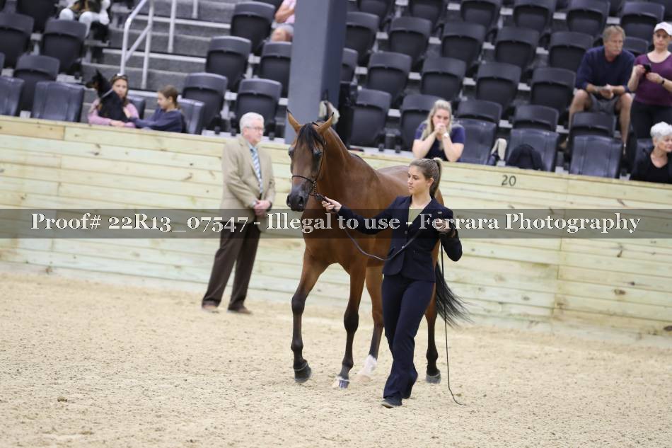 Proof 22R13_07547