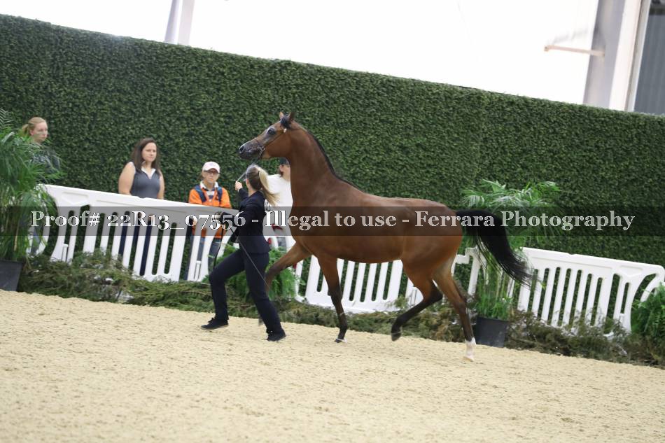 Proof 22R13_07556