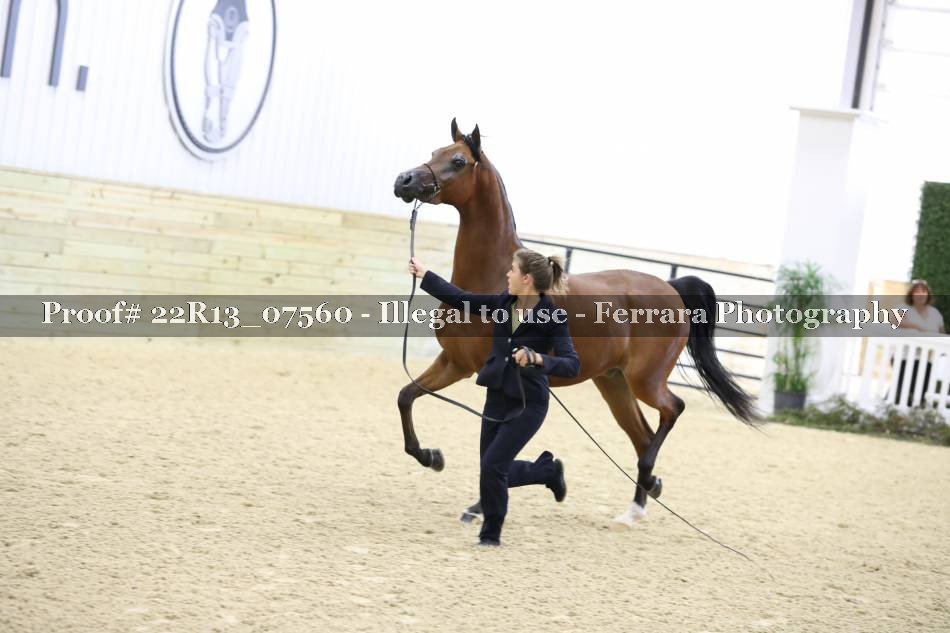 Proof 22R13_07560