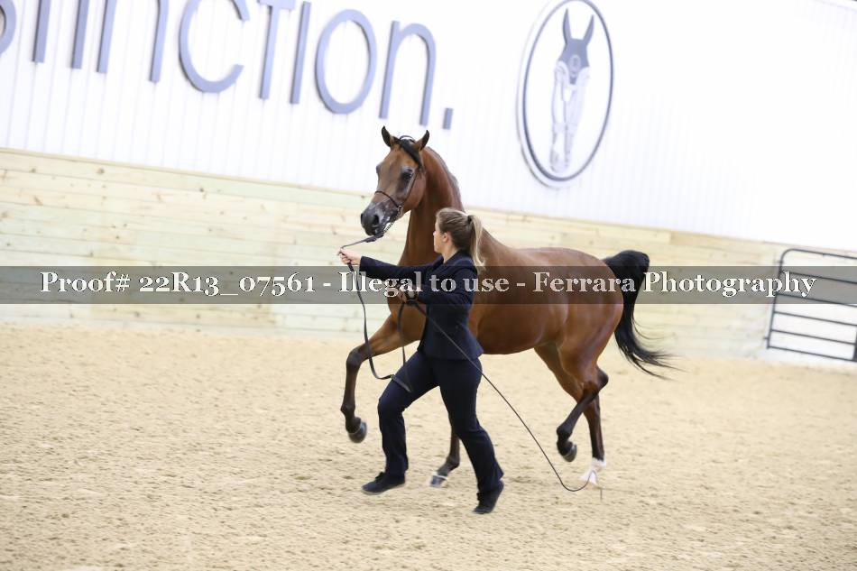 Proof 22R13_07561