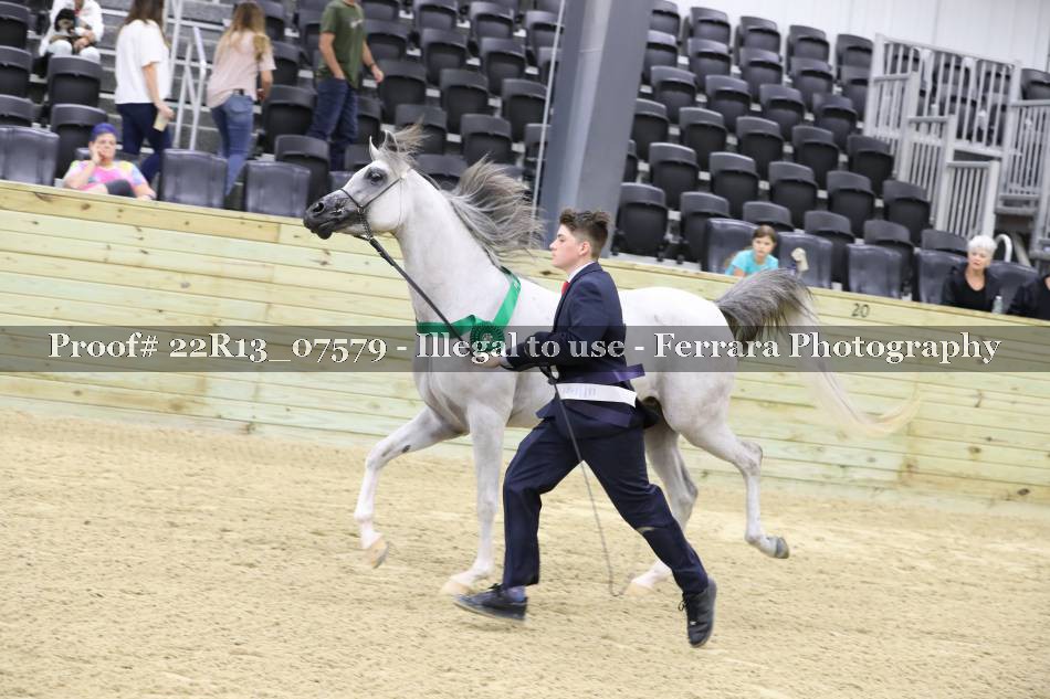 Proof 22R13_07579