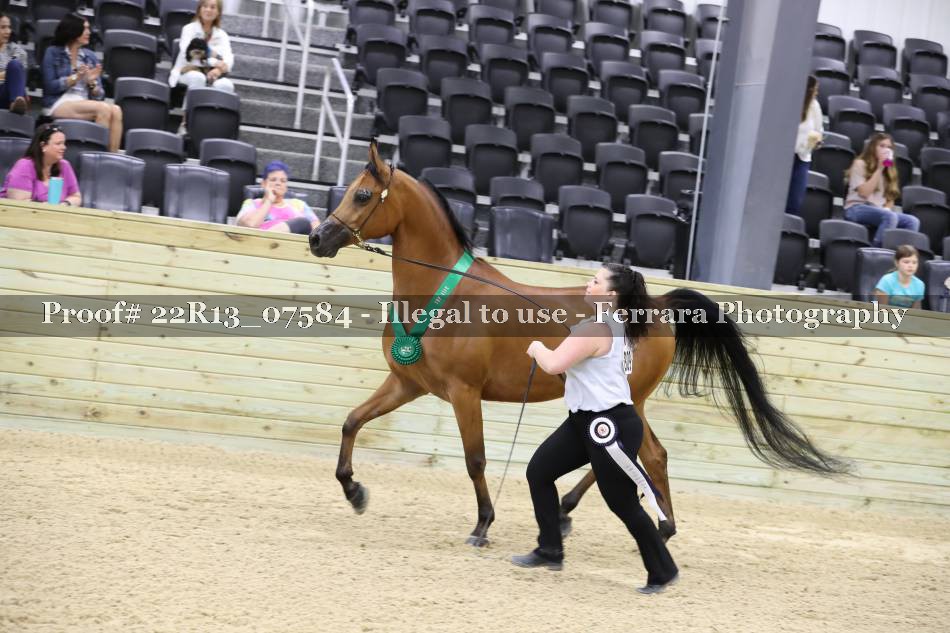 Proof 22R13_07584