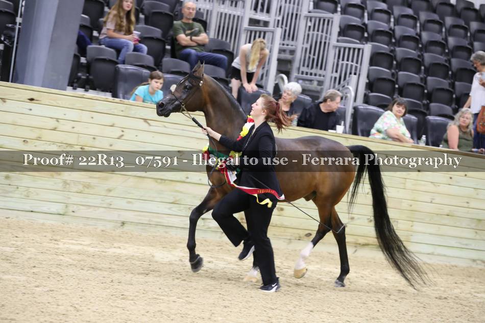 Proof 22R13_07591