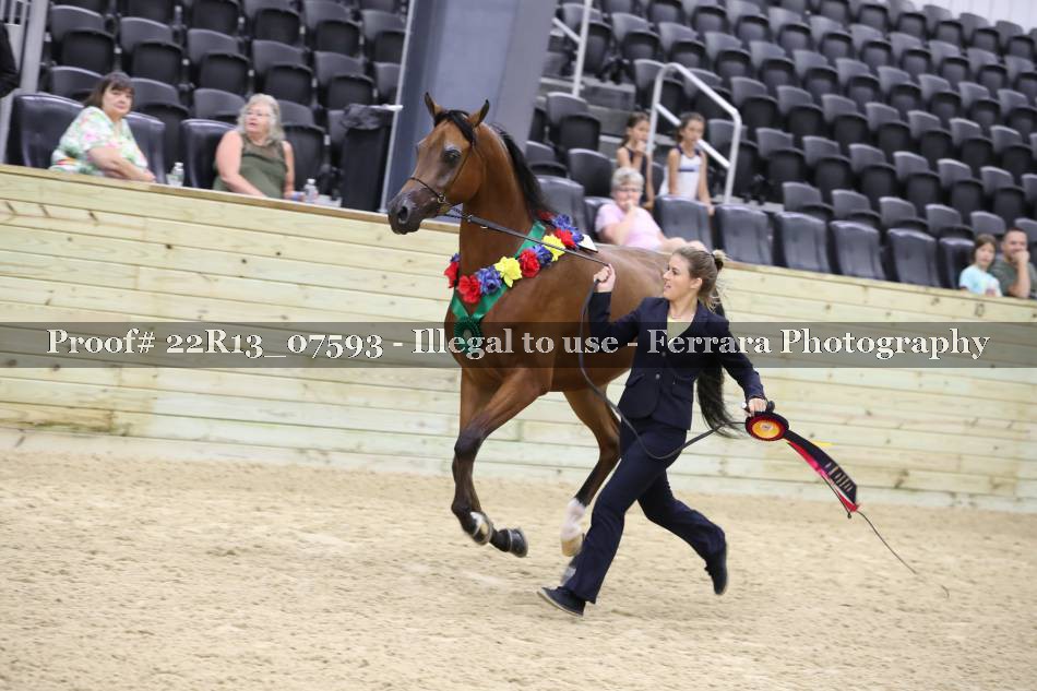 Proof 22R13_07593