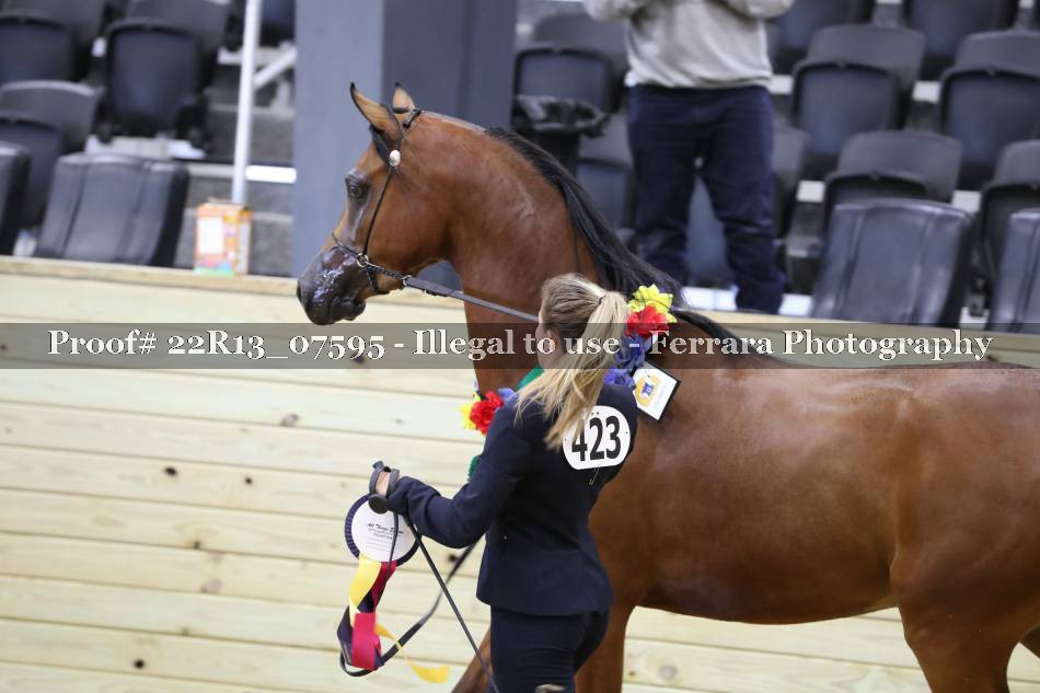 Proof 22R13_07595