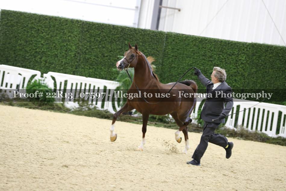 Proof 22R13_07597