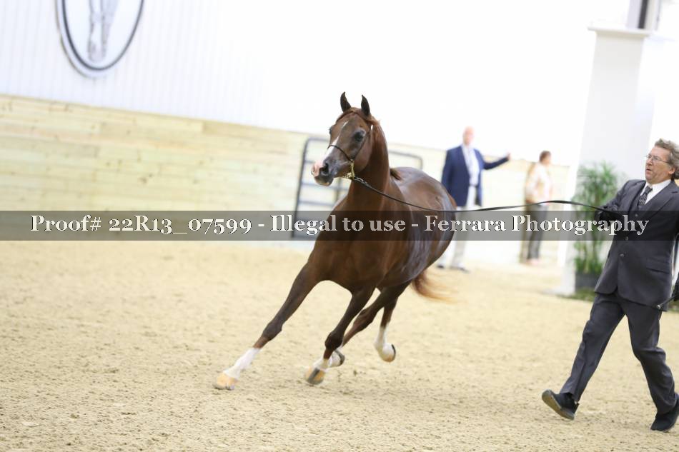 Proof 22R13_07599