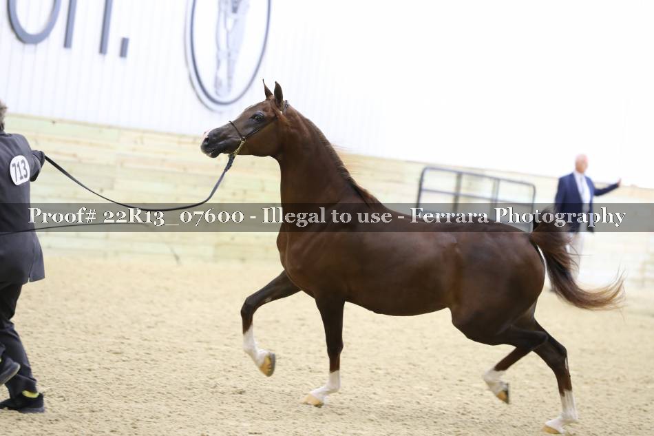 Proof 22R13_07600