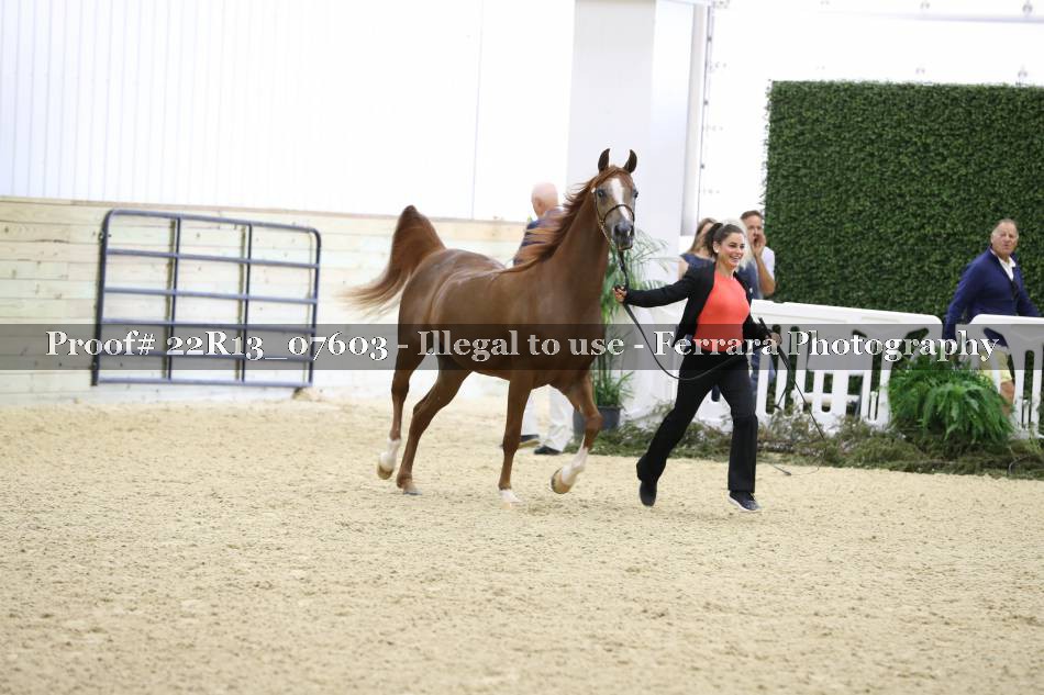Proof 22R13_07603