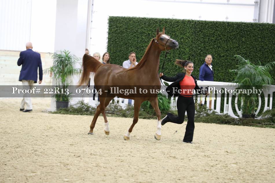 Proof 22R13_07604