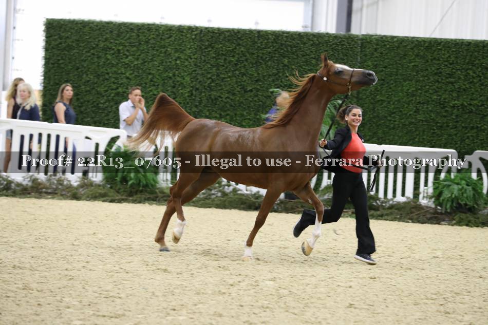 Proof 22R13_07605
