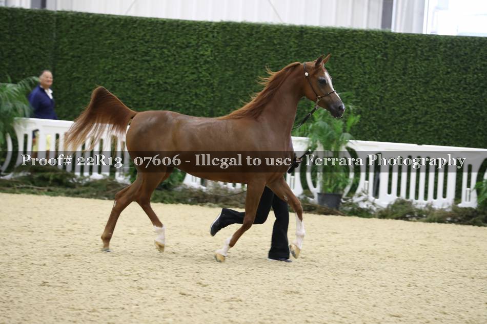 Proof 22R13_07606