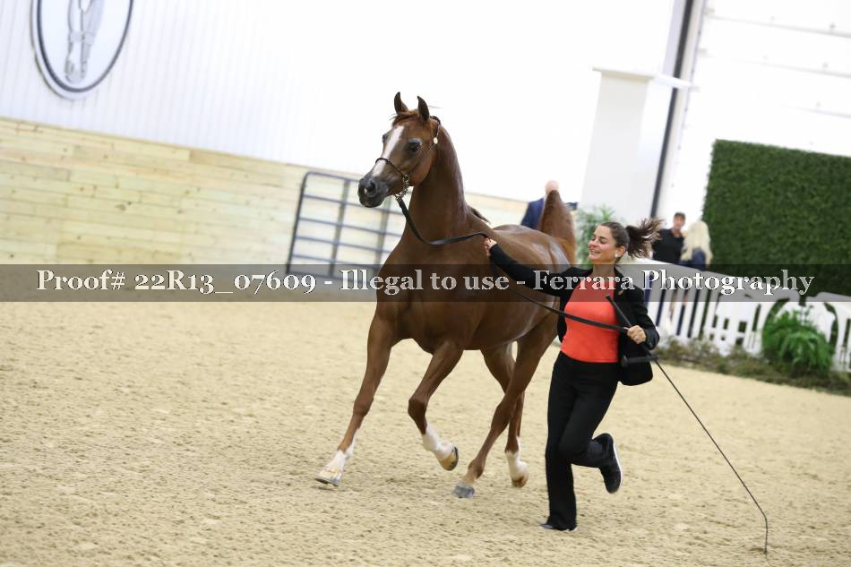 Proof 22R13_07609