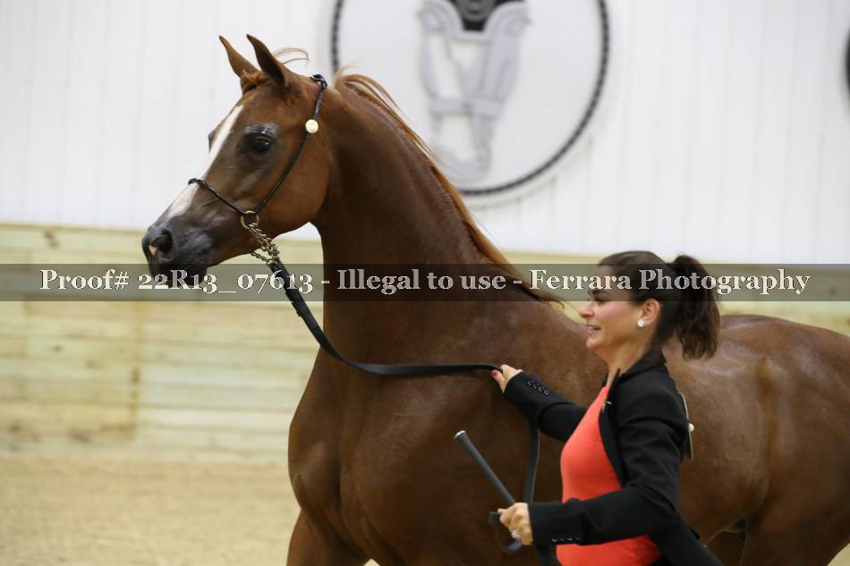 Proof 22R13_07613