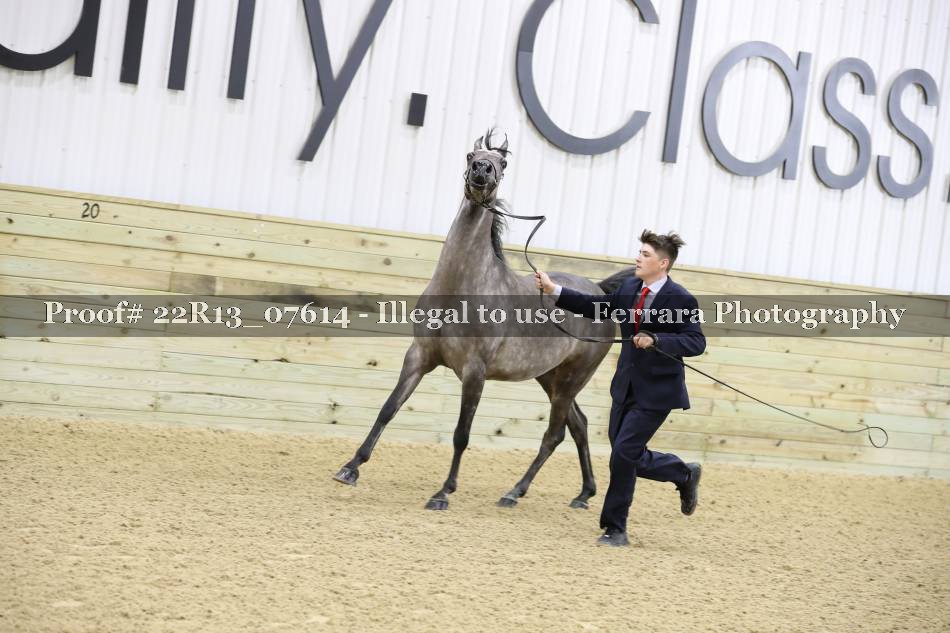Proof 22R13_07614