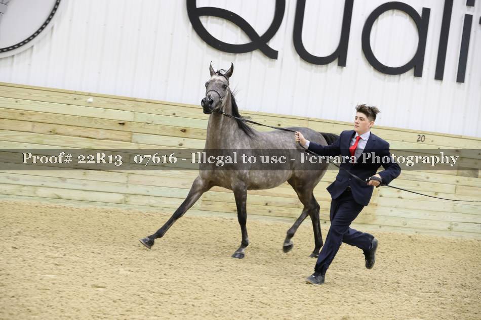 Proof 22R13_07616