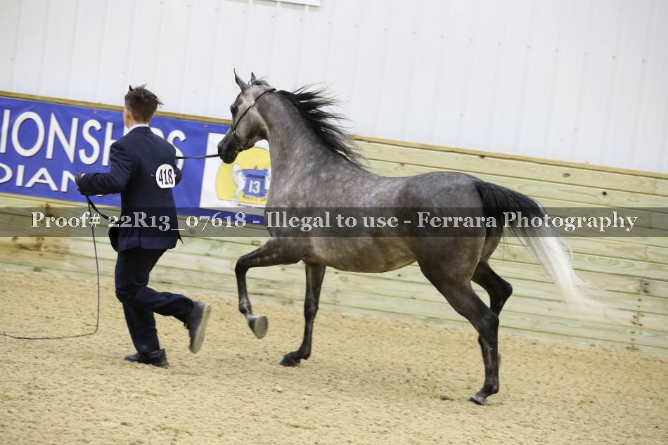 Proof 22R13_07618