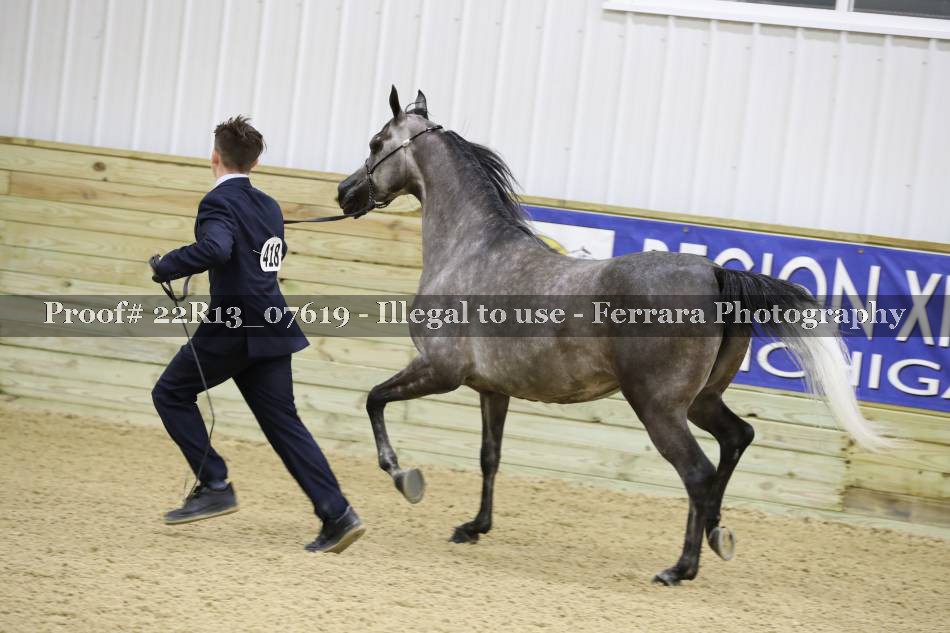 Proof 22R13_07619