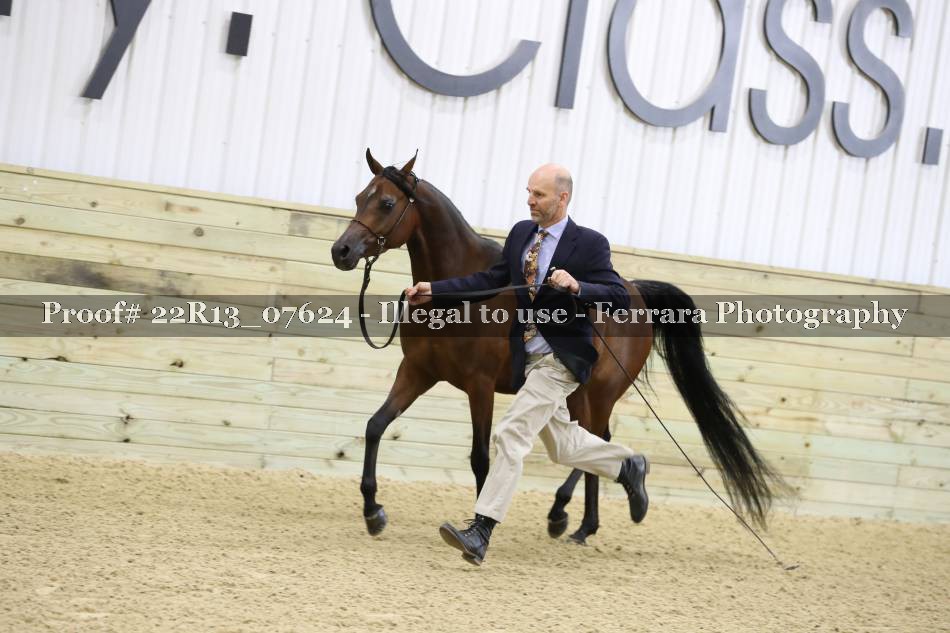 Proof 22R13_07624
