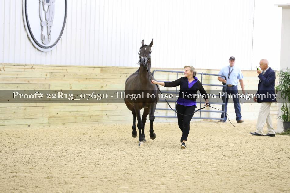 Proof 22R13_07630