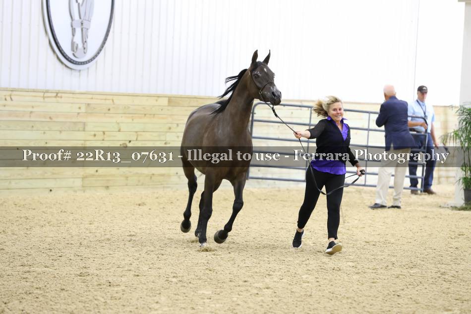 Proof 22R13_07631