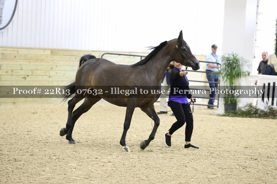 Proof 22R13_07632