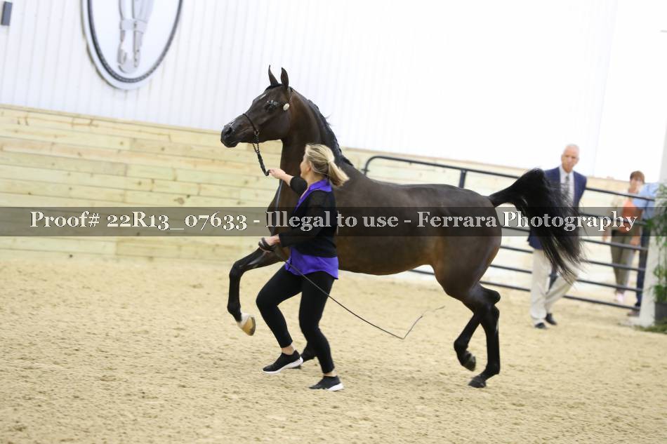 Proof 22R13_07633