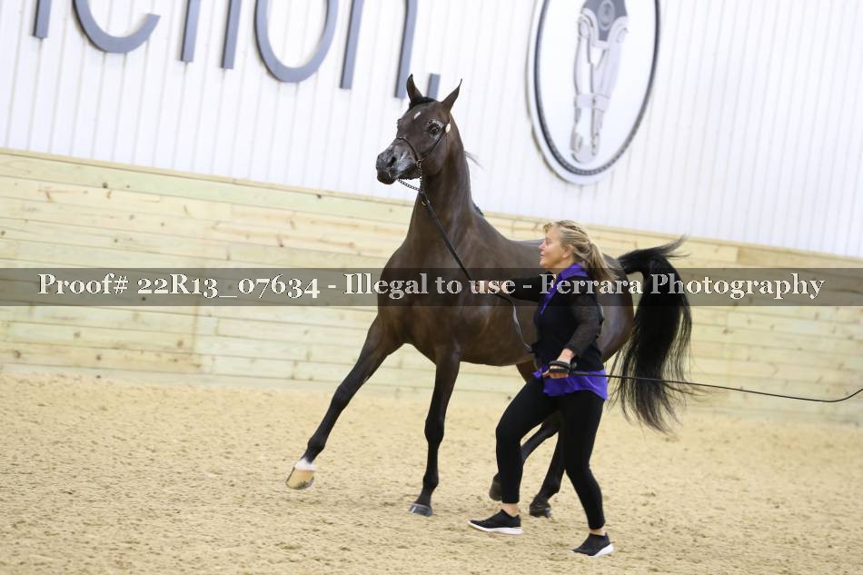 Proof 22R13_07634