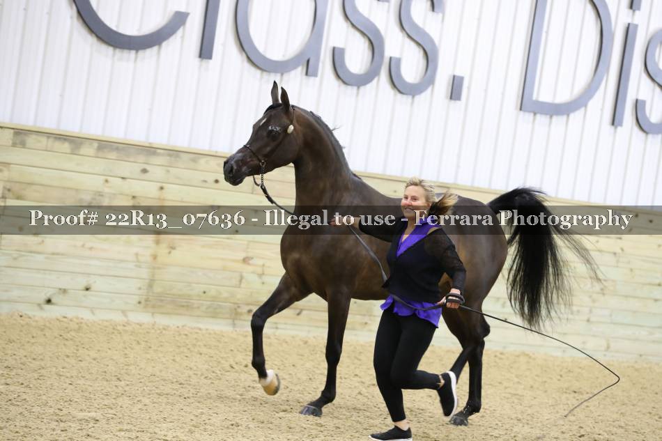 Proof 22R13_07636