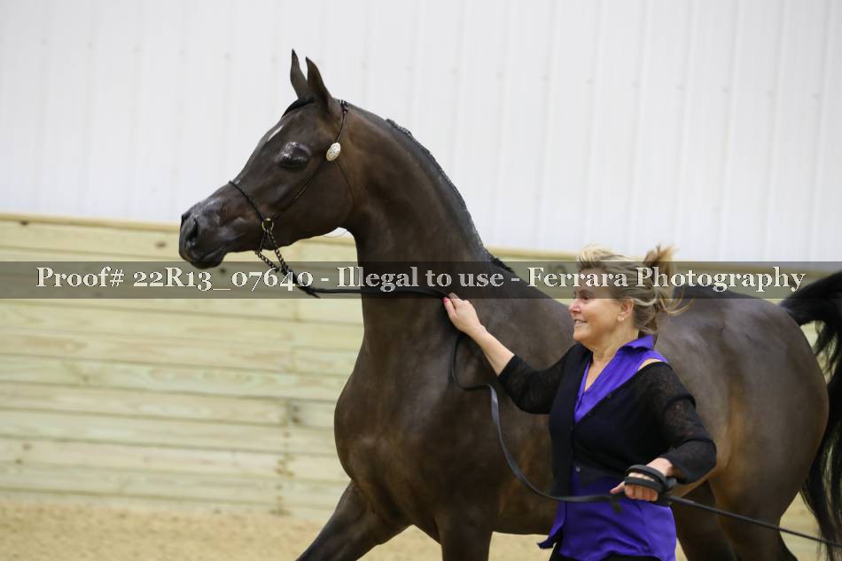 Proof 22R13_07640