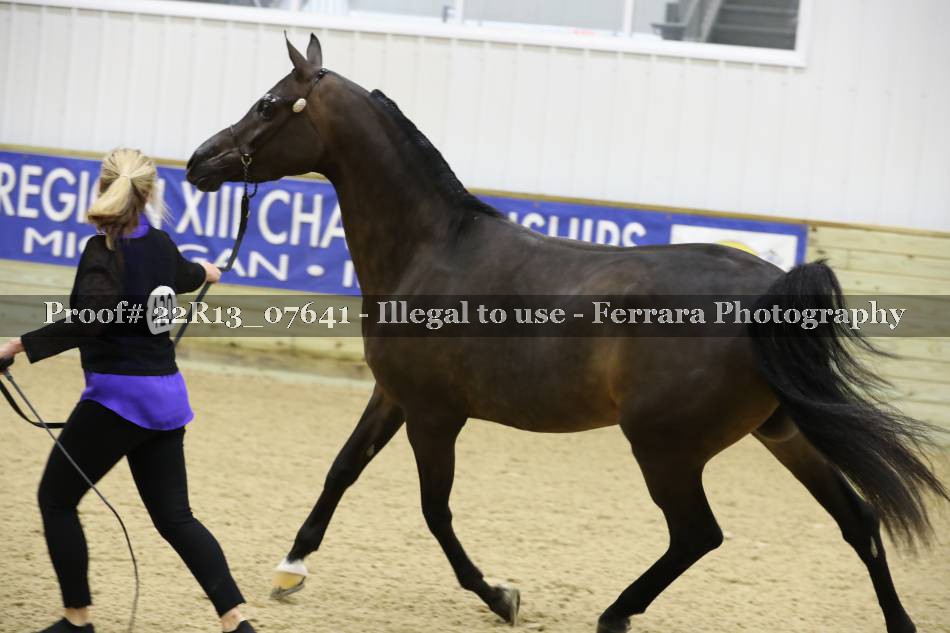 Proof 22R13_07641
