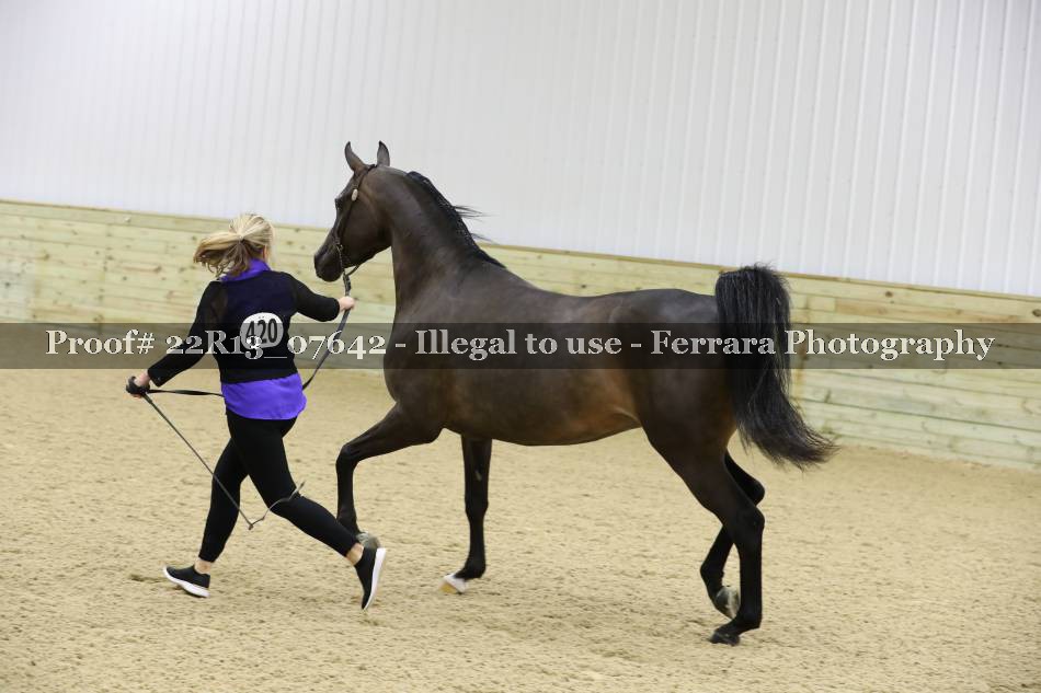 Proof 22R13_07642