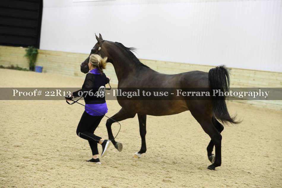 Proof 22R13_07643