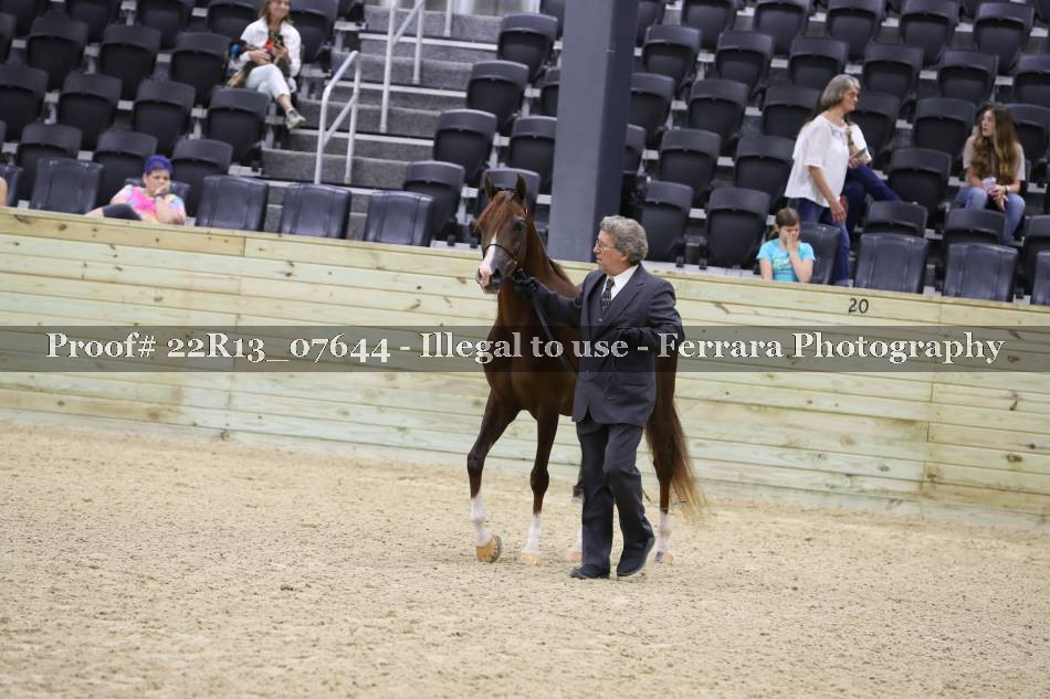 Proof 22R13_07644