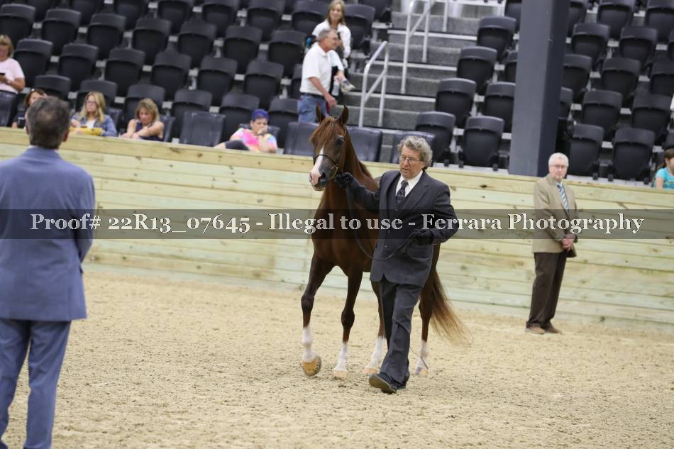 Proof 22R13_07645