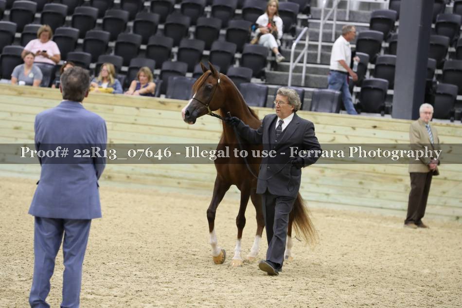 Proof 22R13_07646
