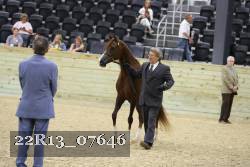 22R13_07646 proof