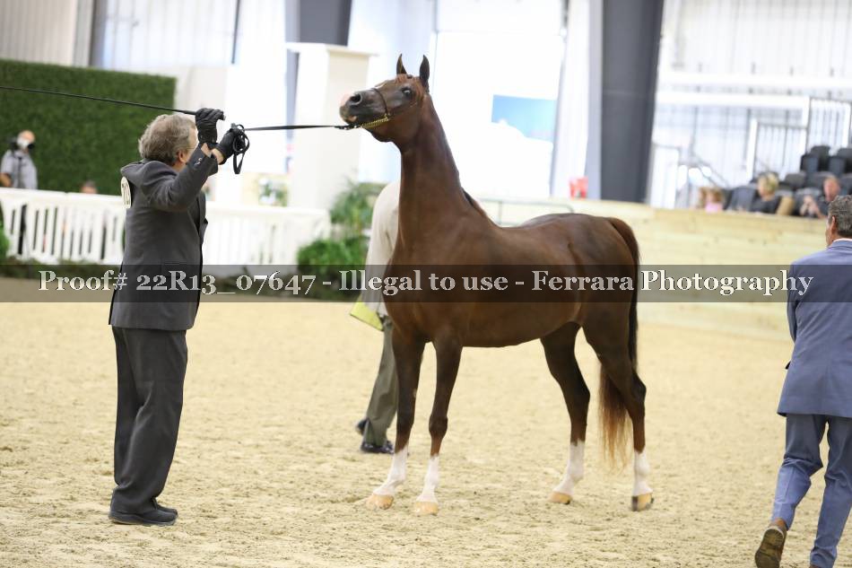 Proof 22R13_07647