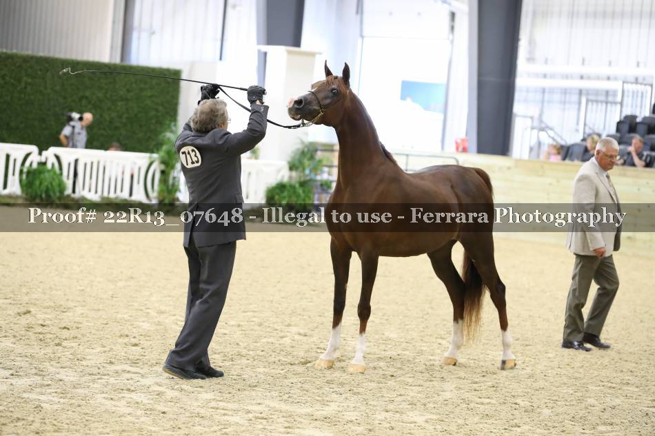 Proof 22R13_07648