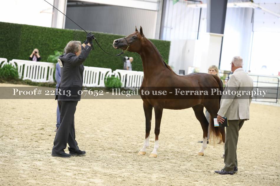 Proof 22R13_07652