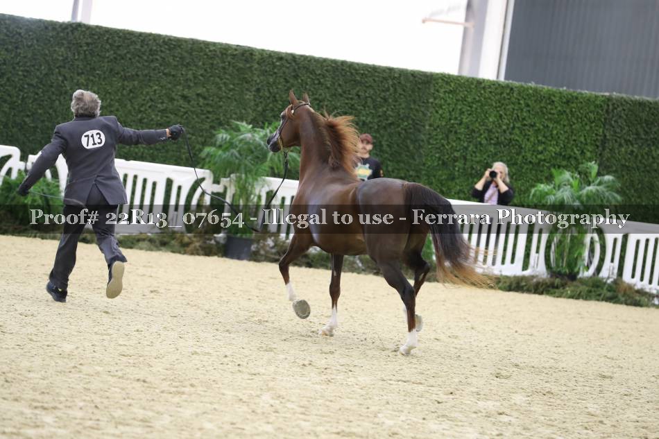 Proof 22R13_07654