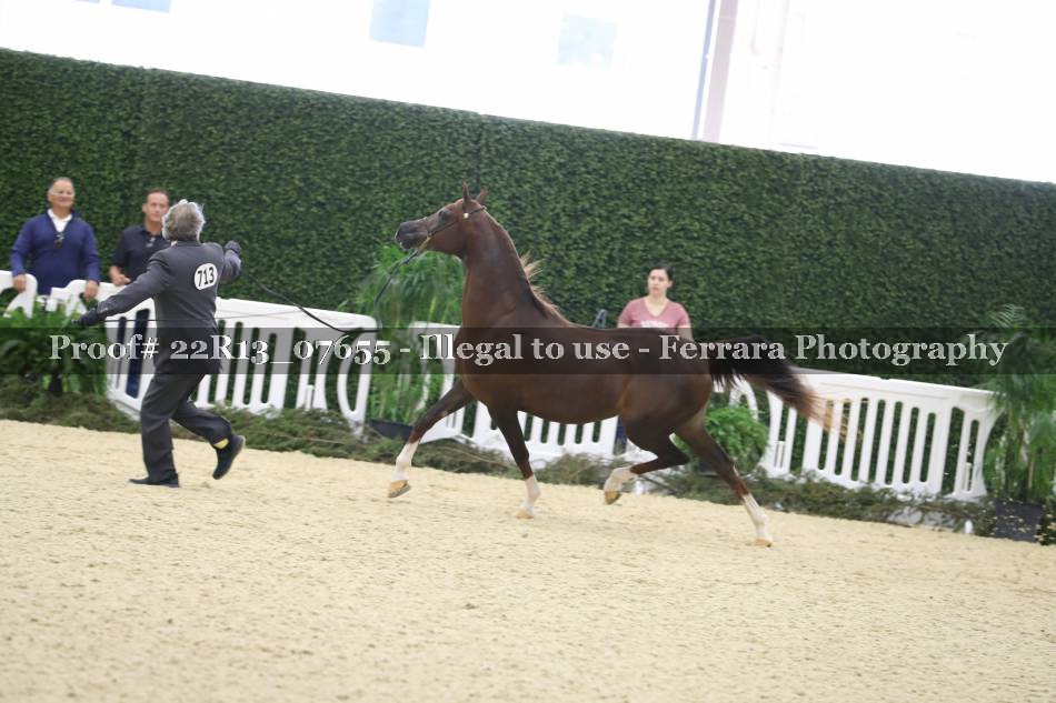 Proof 22R13_07655