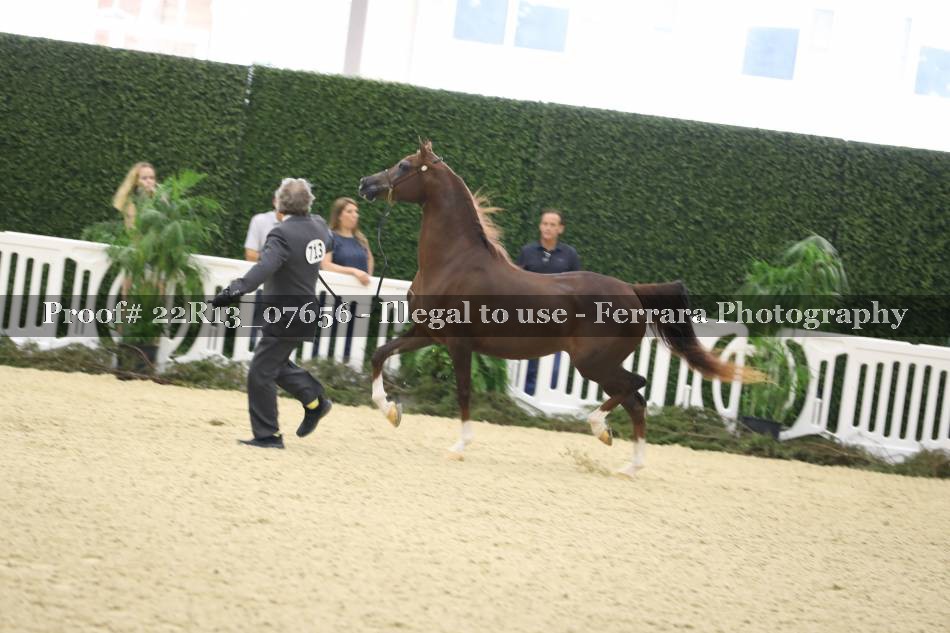 Proof 22R13_07656