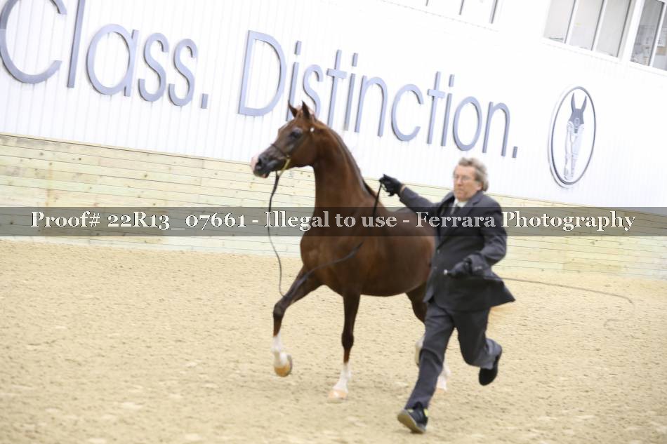 Proof 22R13_07661