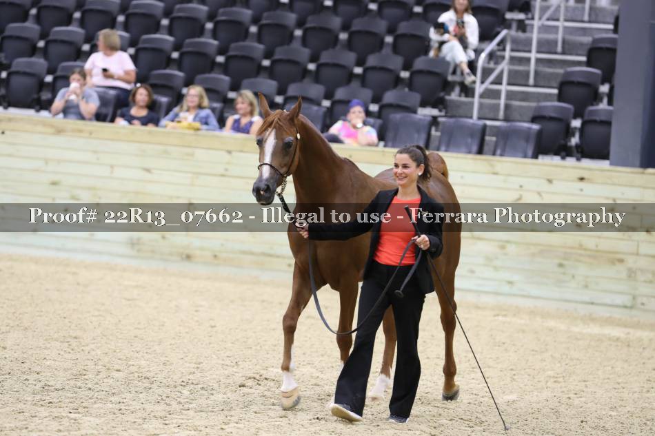 Proof 22R13_07662