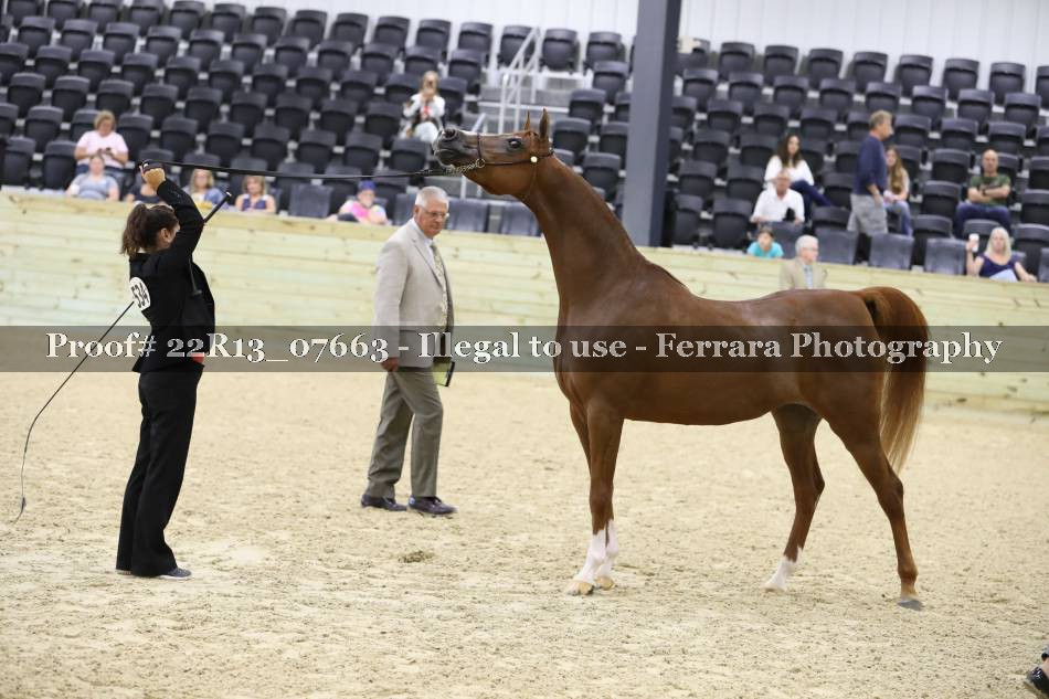 Proof 22R13_07663
