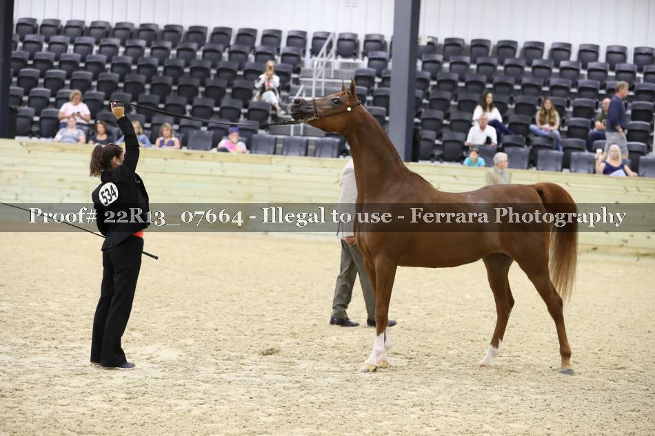 Proof 22R13_07664