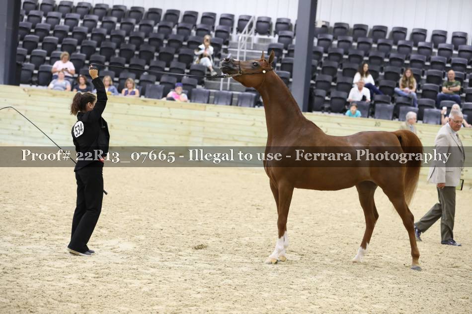Proof 22R13_07665